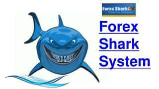 forex shark